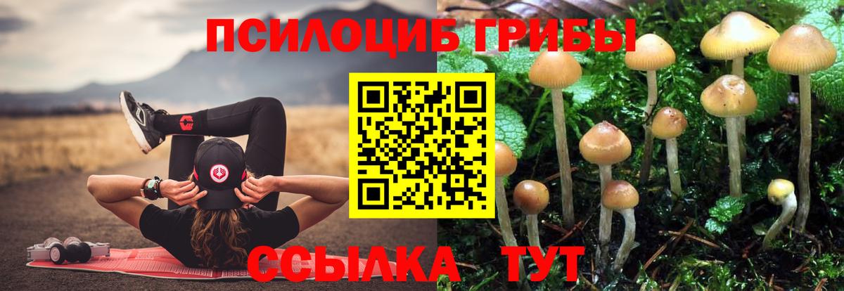 Псилоцибиновые грибы Magic Shrooms  Вход с VPN  Обнинск 